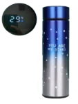 Termo con temperatura digital 500ml 2